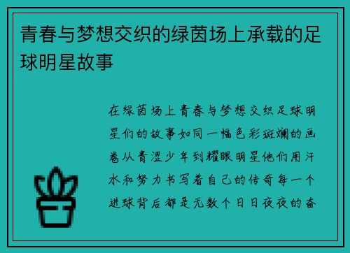 青春与梦想交织的绿茵场上承载的足球明星故事